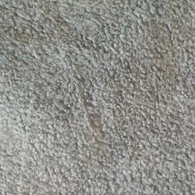 Polar Fleece Fabric